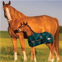 RUG4299 ED-01